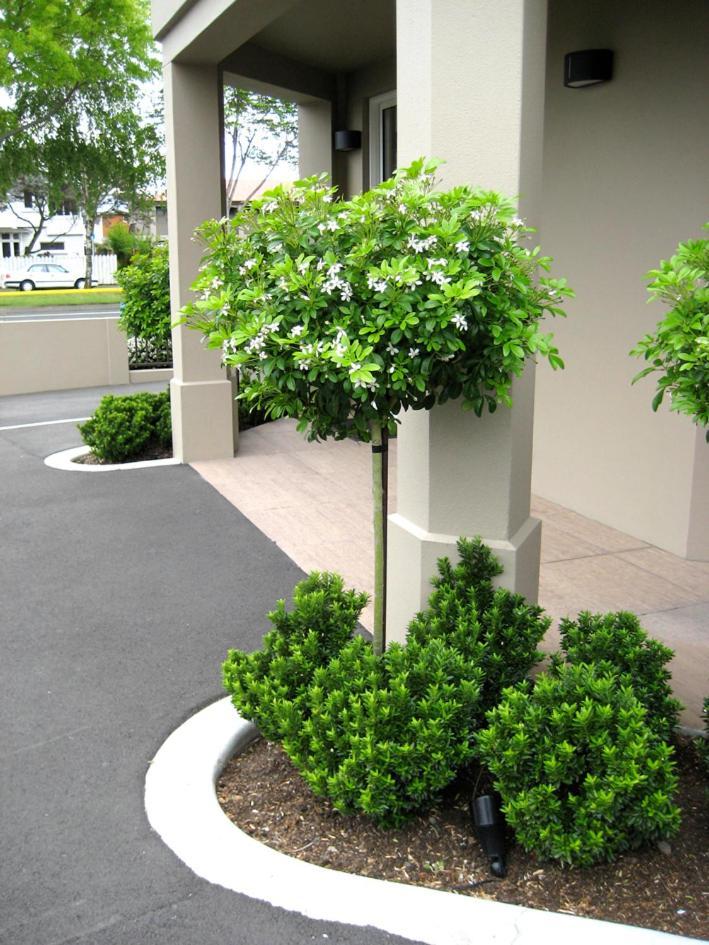 Salerno Motel Apartments Christchurch Dış mekan fotoğraf Gardenia